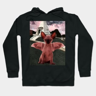 The Devil Hoodie